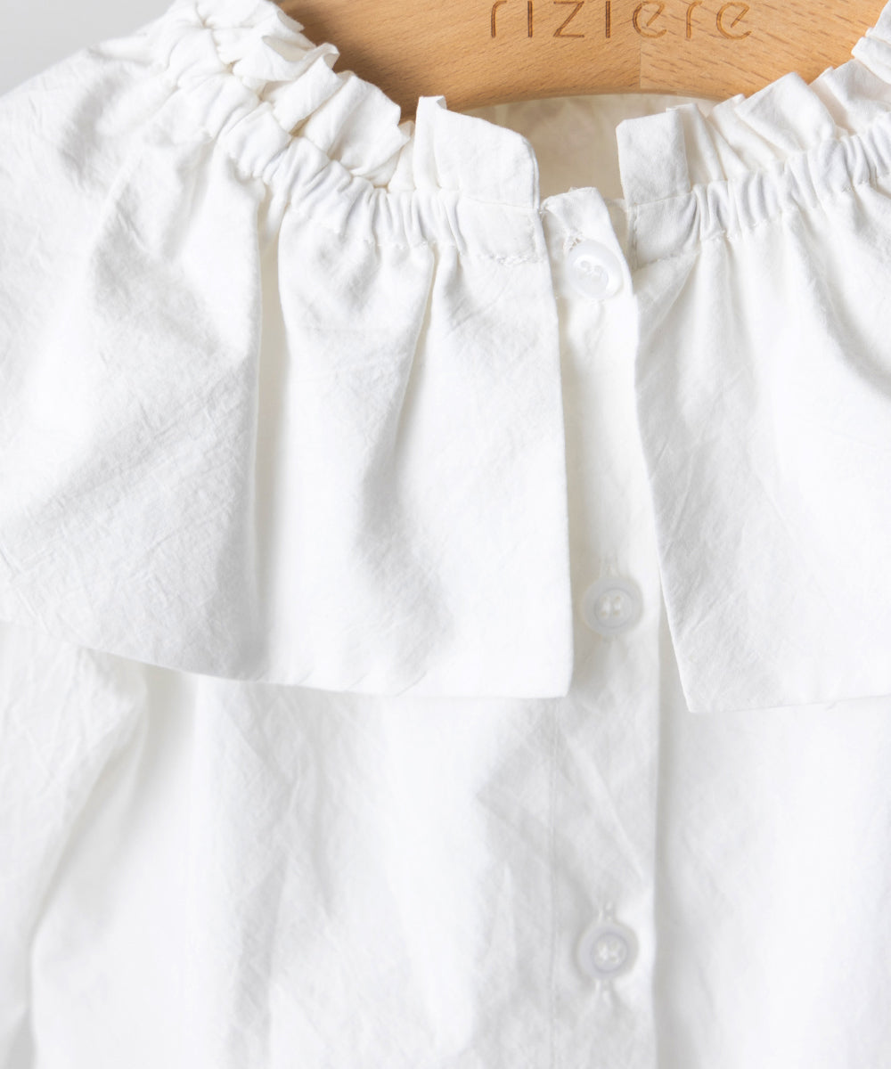 ビックカラーブラウス