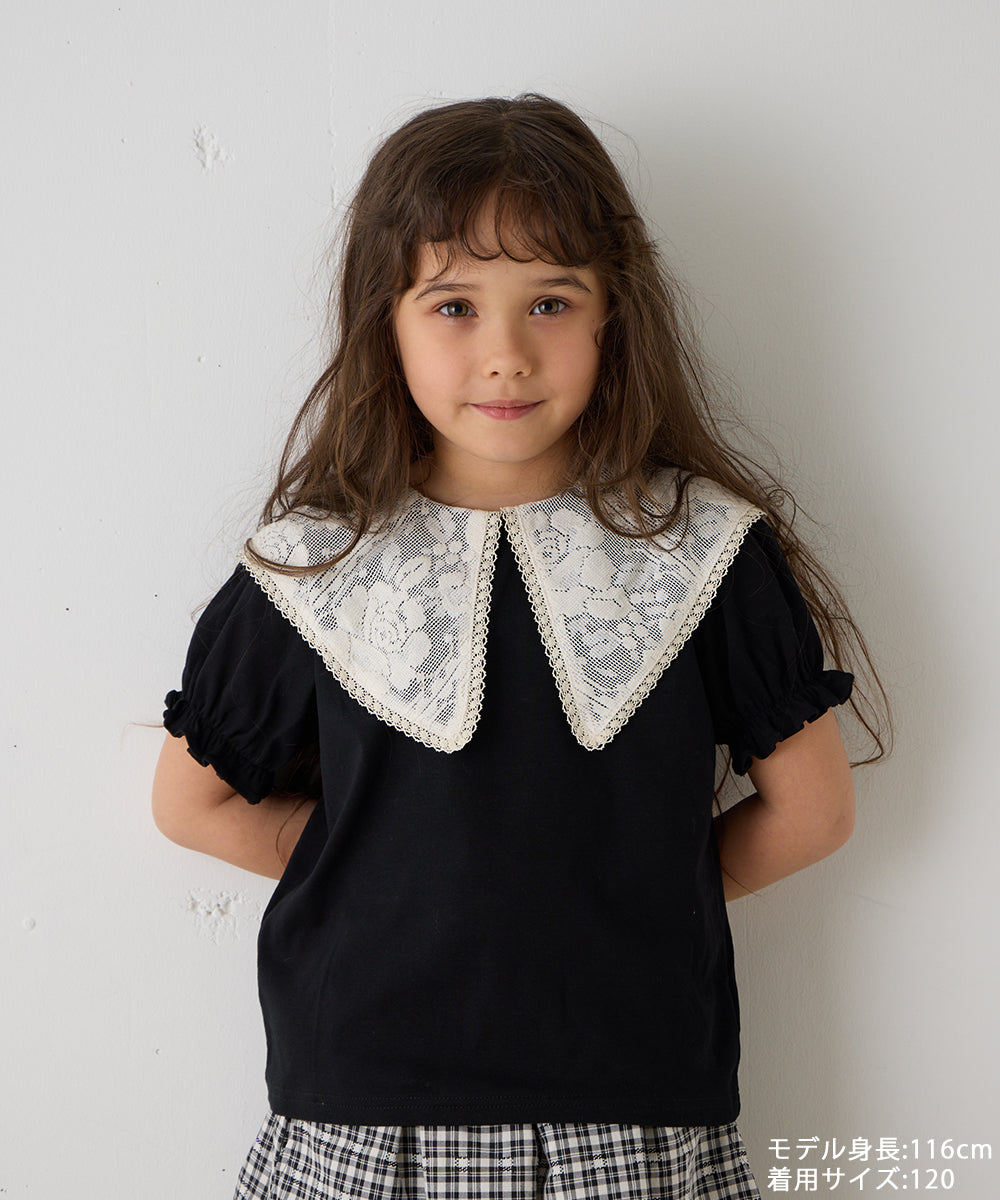 レースビッグカラートップス