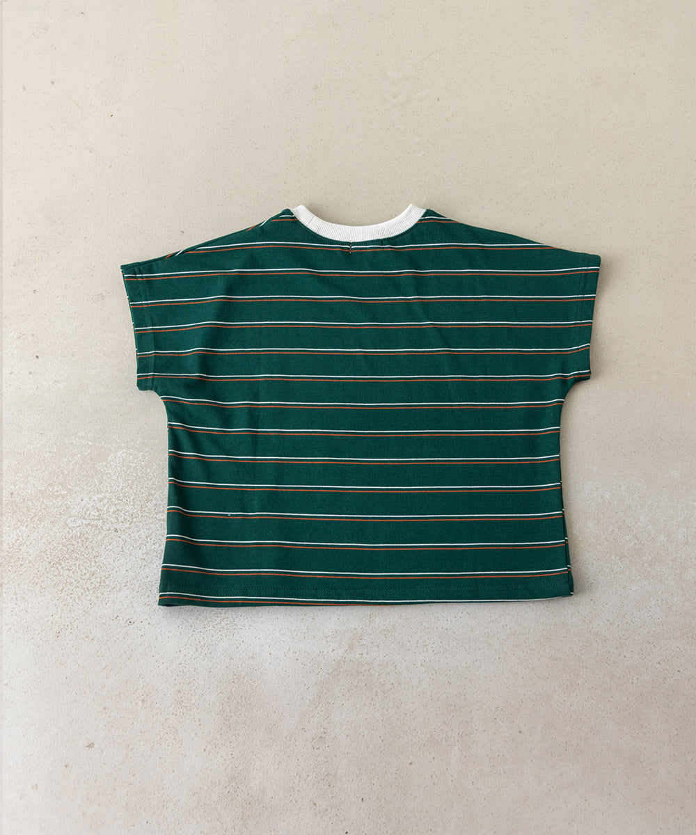 マルチ細ボーダーTシャツ